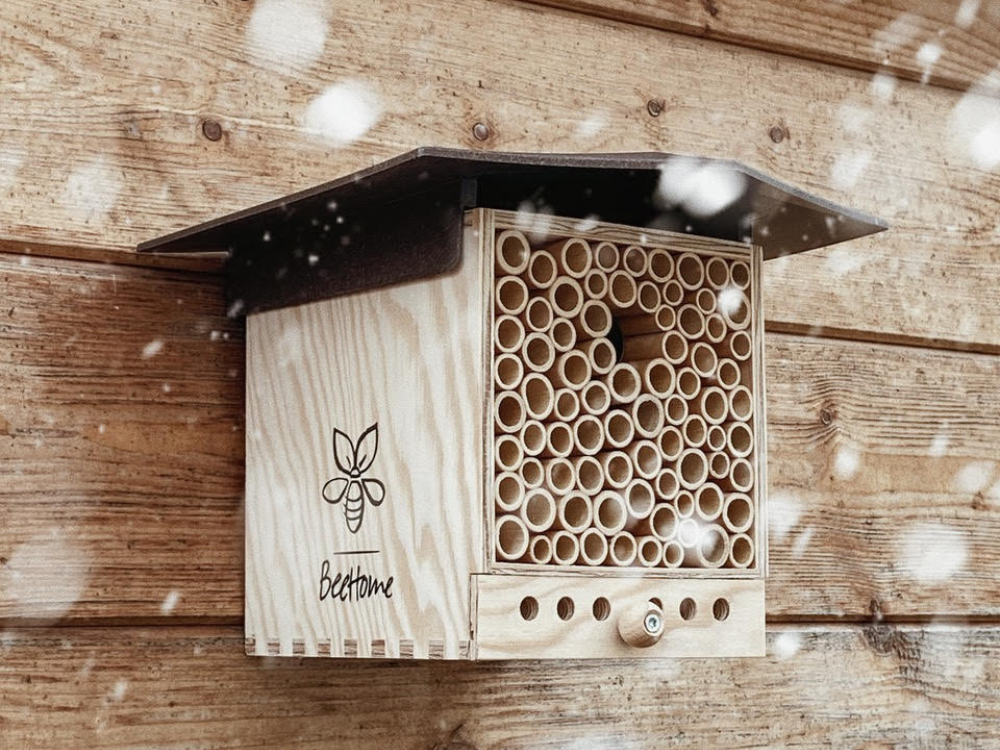 So pflegst du dein Bienenhotel und schützt es vor Feuchtigkeit