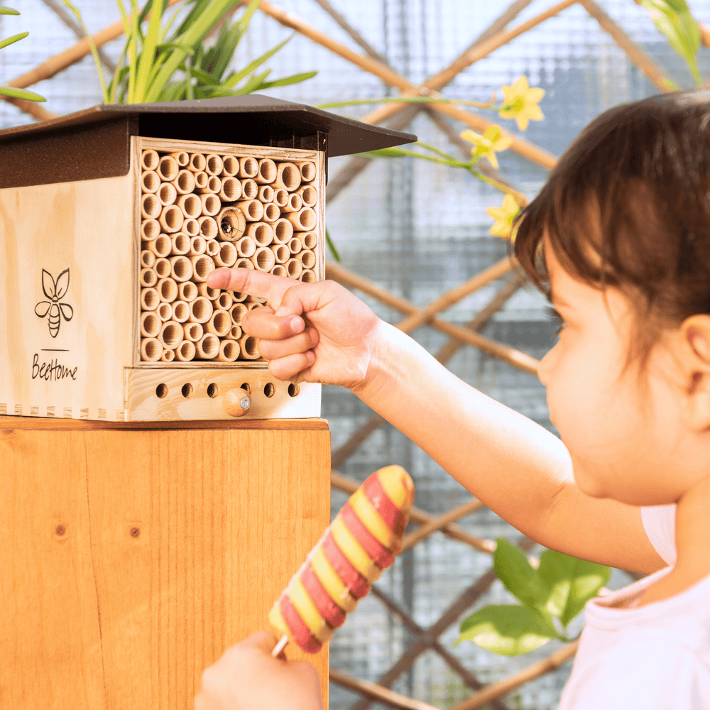 
                  
                    Bienen für Bildung: BeeHome Observer
                  
                