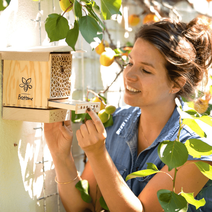 Bienen für Bildung: BeeHome Observer