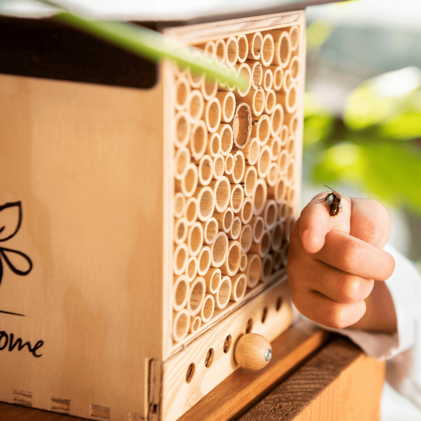 
                  
                    Bienen für Bildung: BeeHome Observer
                  
                