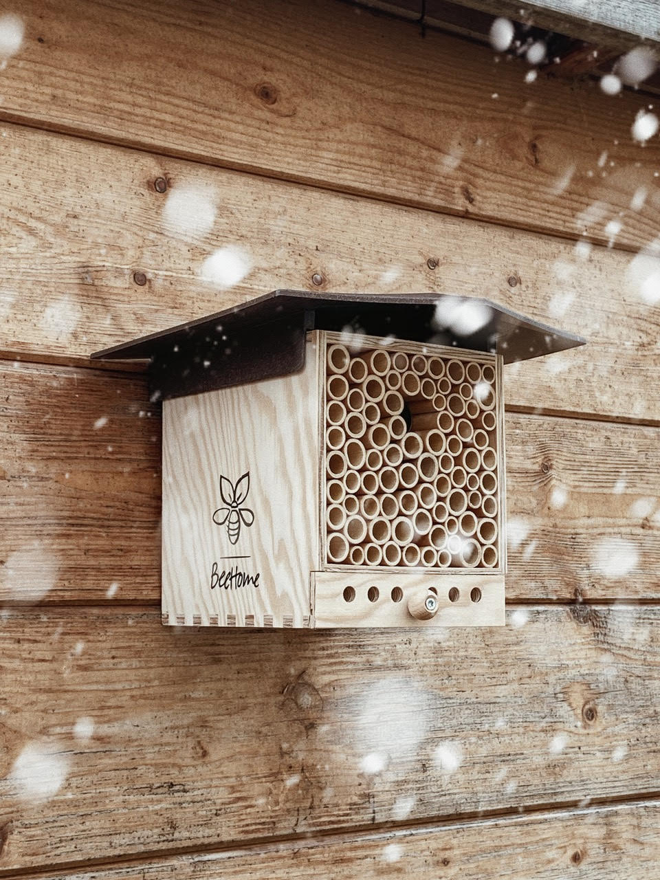 BeeHome by Pollinature