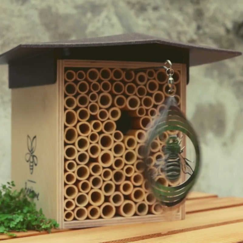 
                  
                    Laden und Abspielen von Videos im Galerie-Viewer, Vogelschutz BeeSafe
                  
                