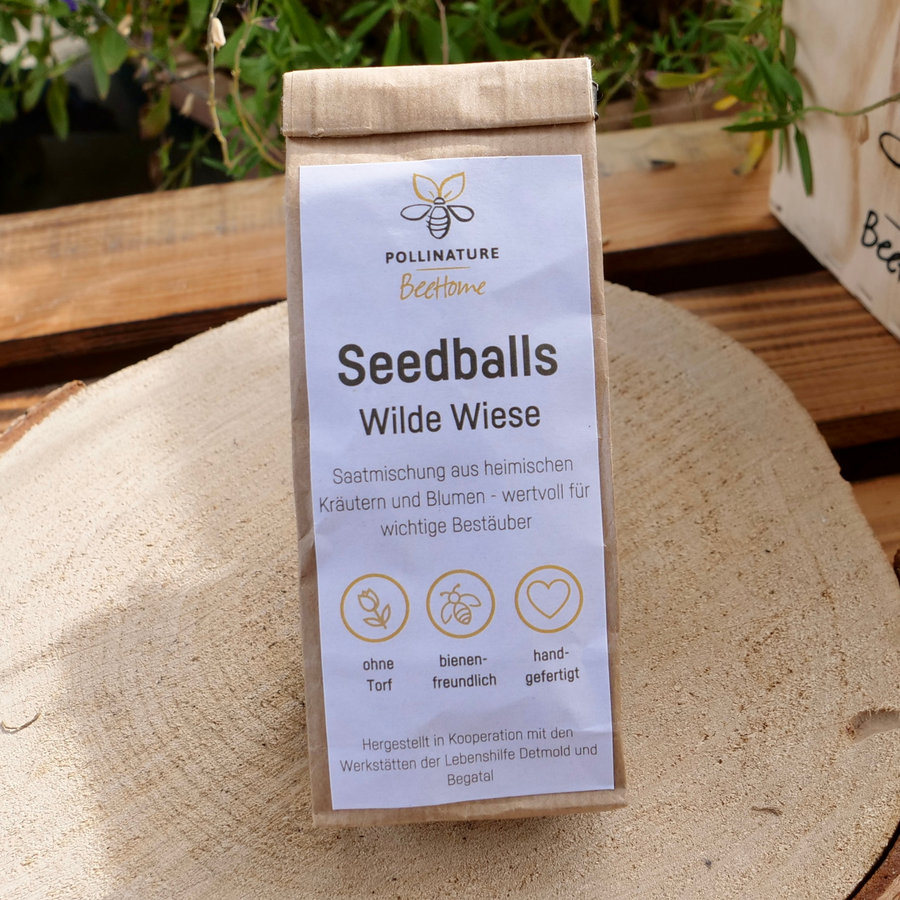 6 Seedballs “Wilde Wiese”